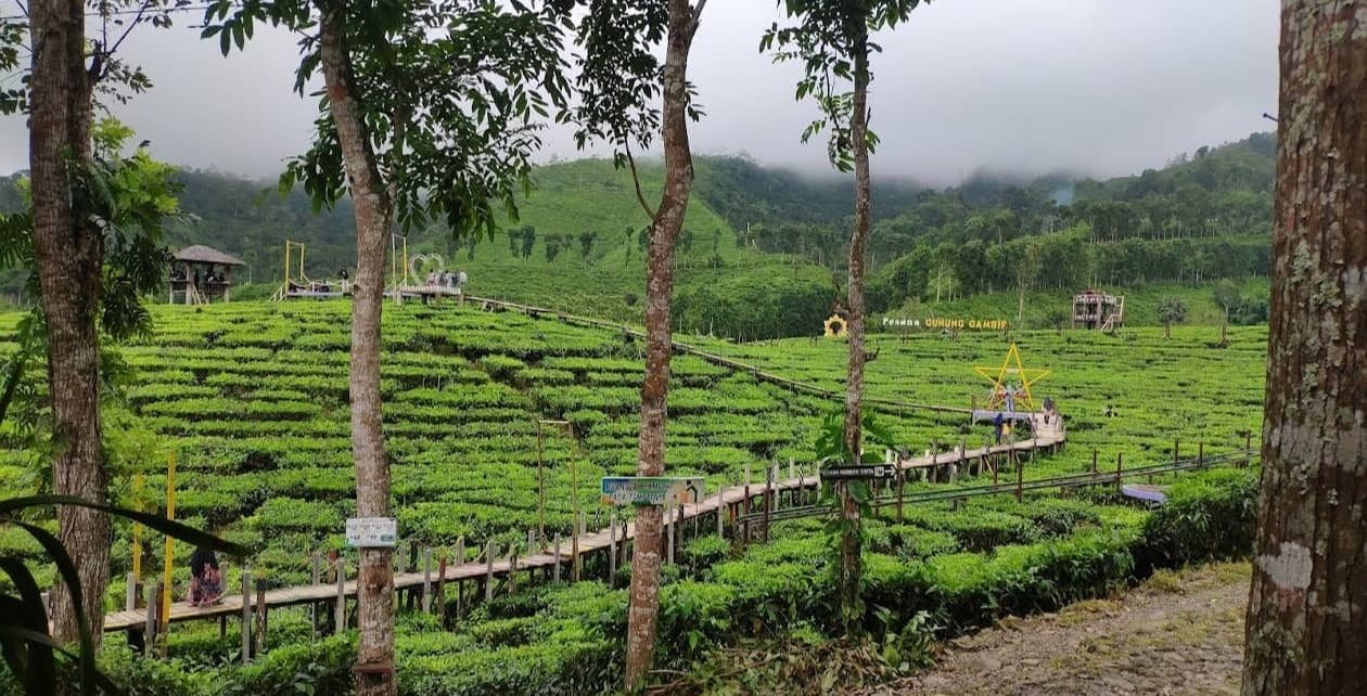 Gambar utama Wisata Kebun Teh Gunung Gambir
