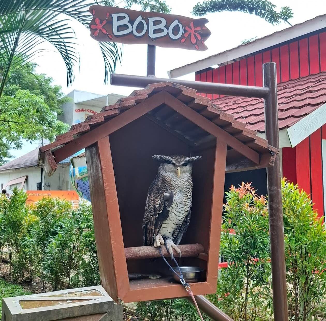 Gambar utama Mini Zoo